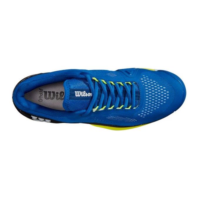 Wilson Rush Pro 4.0 - All Court (Blue/Yellow)