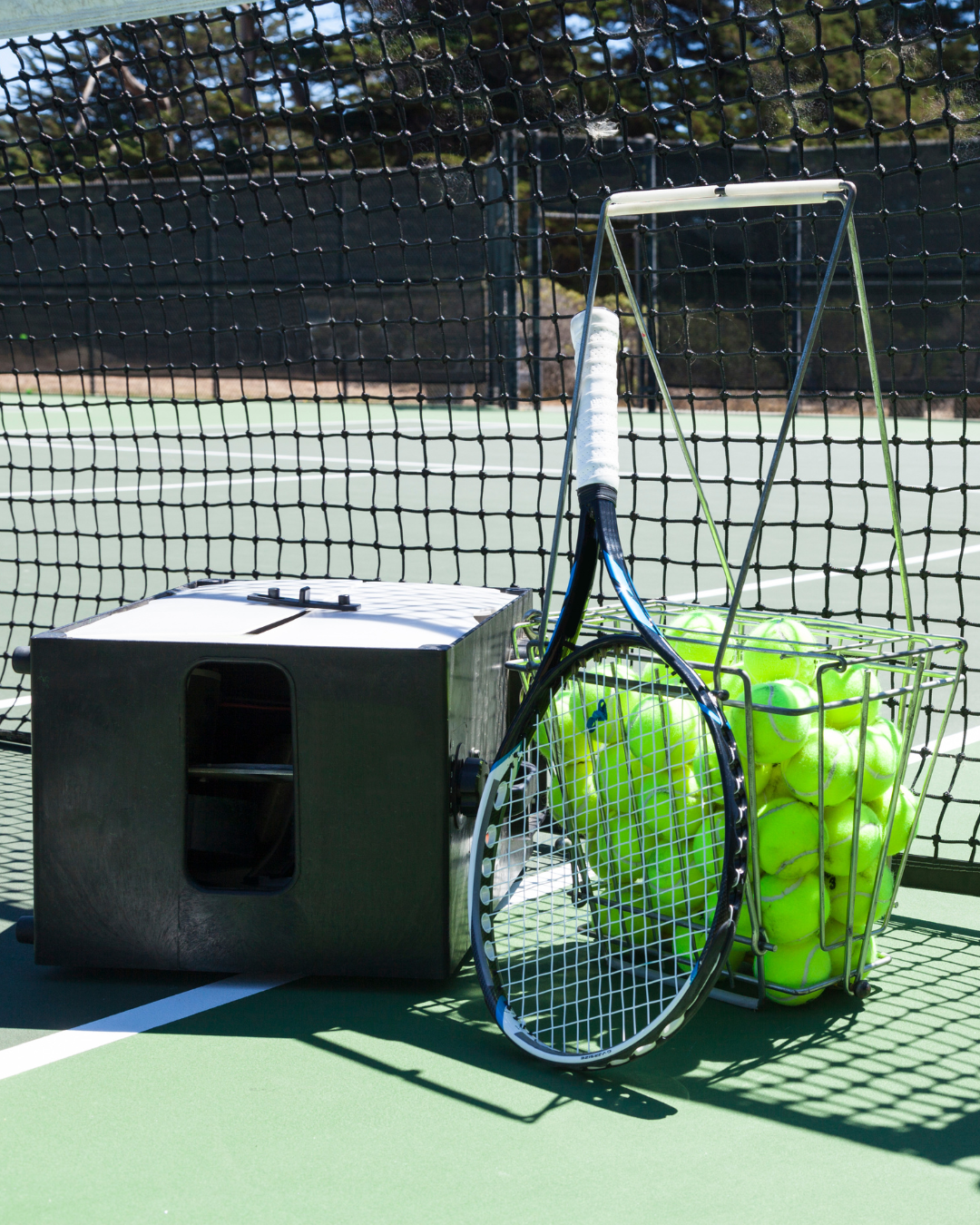 Court Equipment